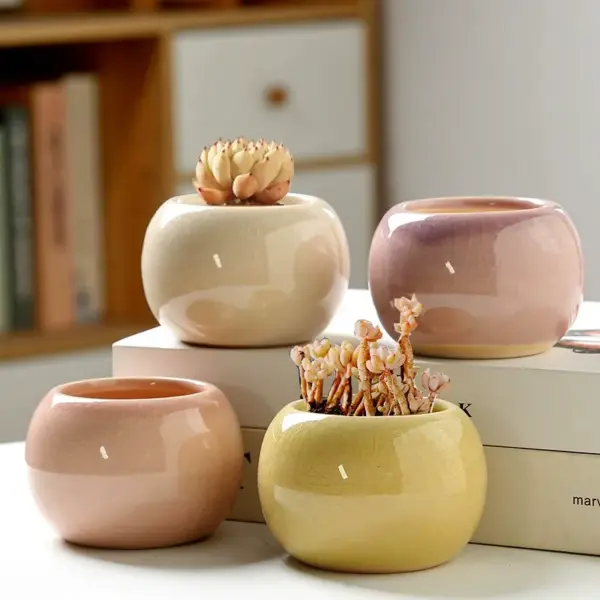 Succulent Planter - Image 2